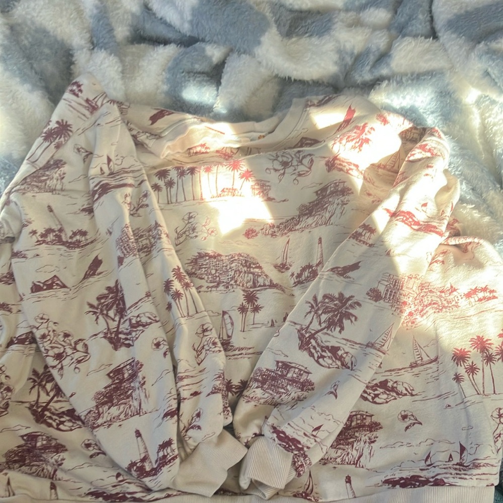 C&C California Cream and Maroon Scenic Crew Neck Sweater